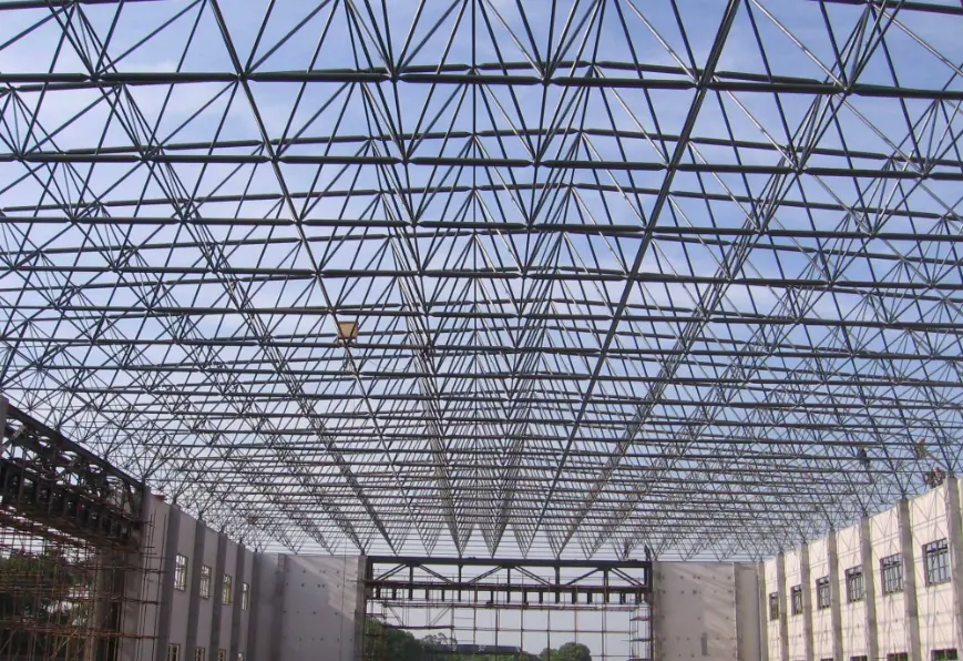 Large Span Steel Space Frame Structure